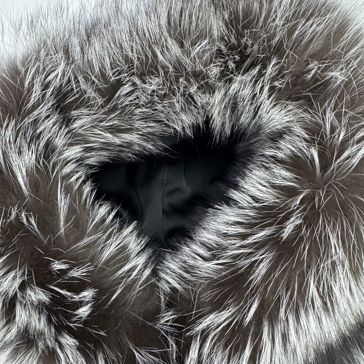 Women's Real Silver Fox & Raccoon Dog Fur Cropped Hooded Jacket — Downtown Rhythm