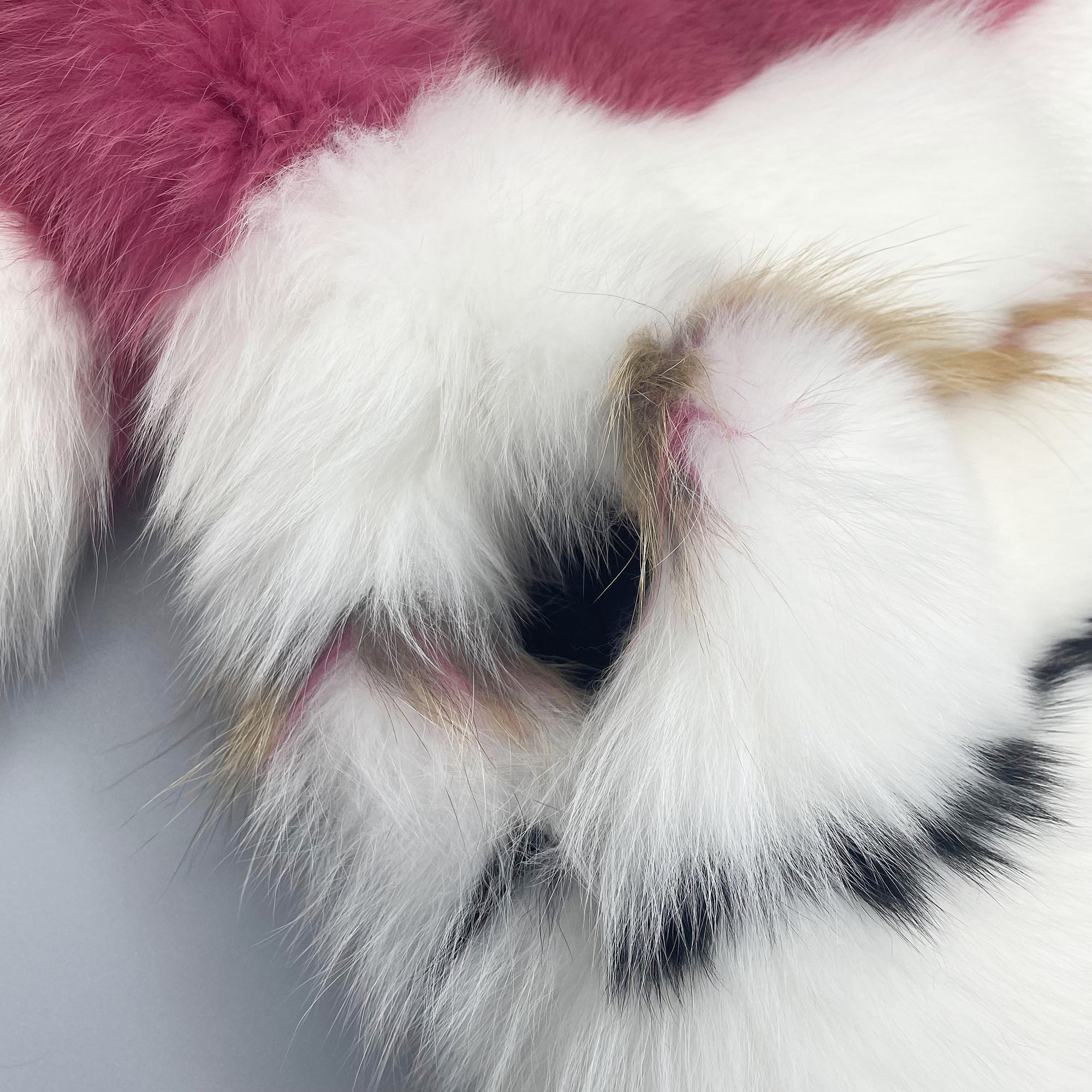 Women's Real Fox Fur Multicolor Patchwork Stand Collar Cropped Jacket - Patchwork Close-up